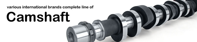 various international brands complete line of Camshaft