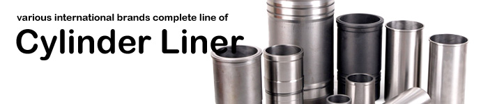 DPS offers various international brands complete line of Cylinder Liner