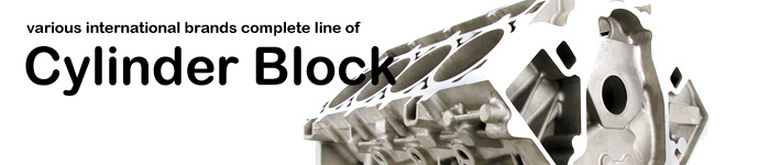 Various international brands complete line of Cylinder Block