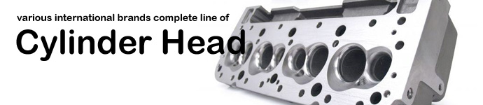 Various international brands complete line of Cylinder Head