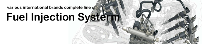 DPS offers various international brands complete line of Fuel Injection Systerm