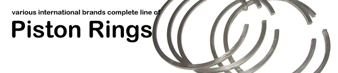 DPS offers various international brands complete line of Engine Piston Rings