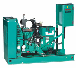 Cummins Gas Engine Generator Sets